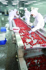 山東北大荒果蔬產品暢銷美歐等20多個國家和地區